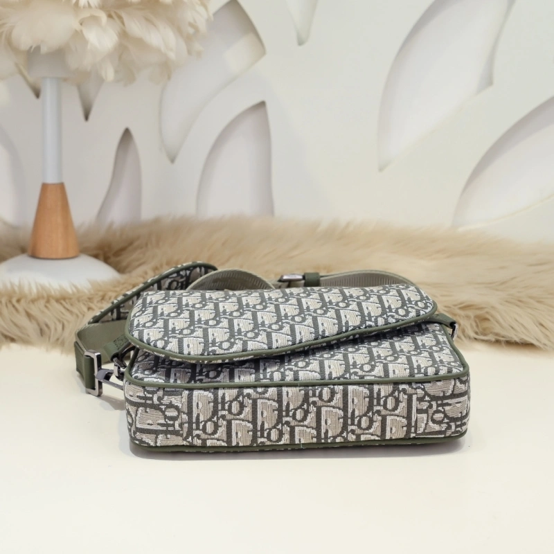 DailyWear Christian Dior Saddle Bags 71363