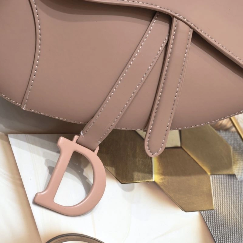 Christian Dior Saddle bags Efficient 87880