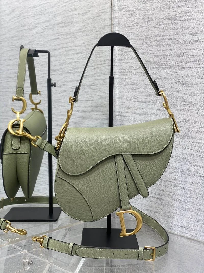 Christian Dior Saddle bags EasyMatch 47250