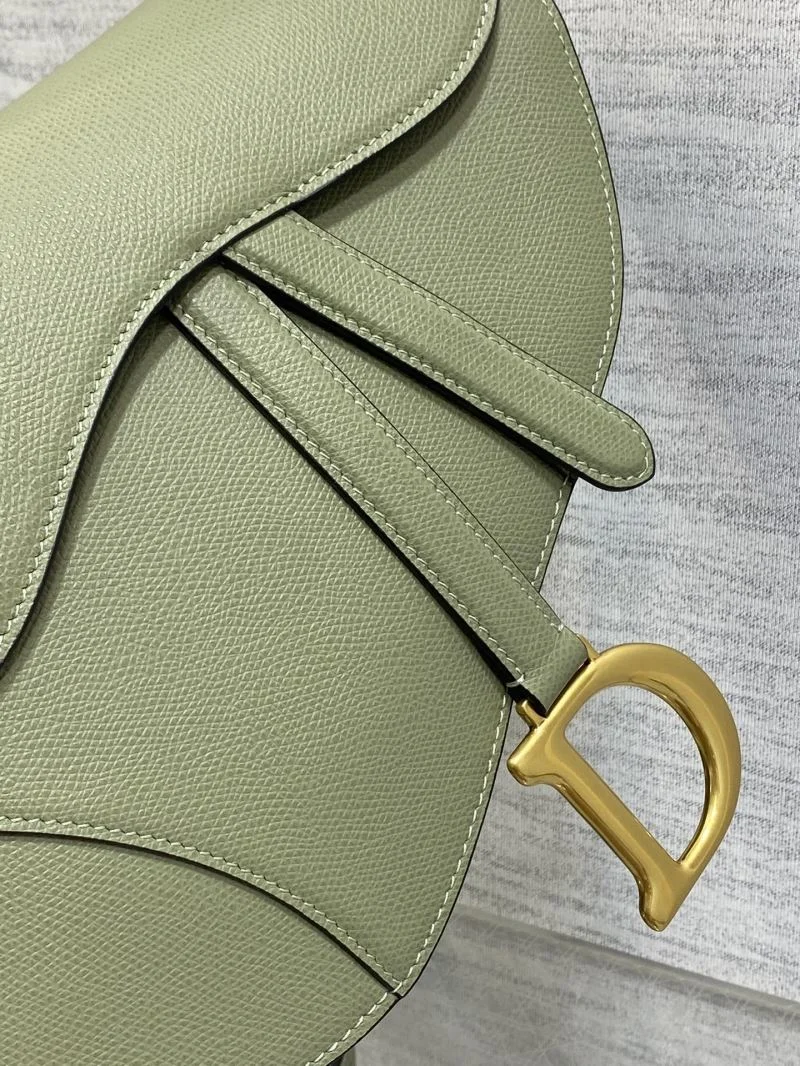 Christian Dior Saddle bags EasyMatch 47250