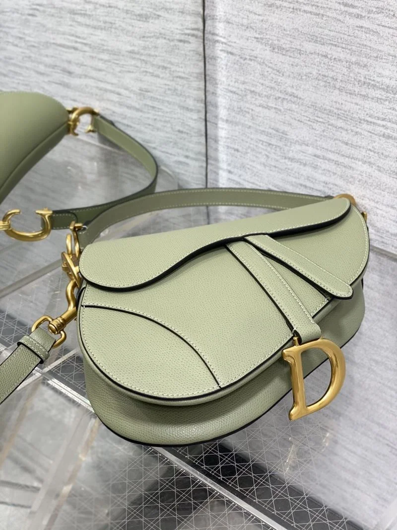 Christian Dior Saddle bags EasyMatch 47250