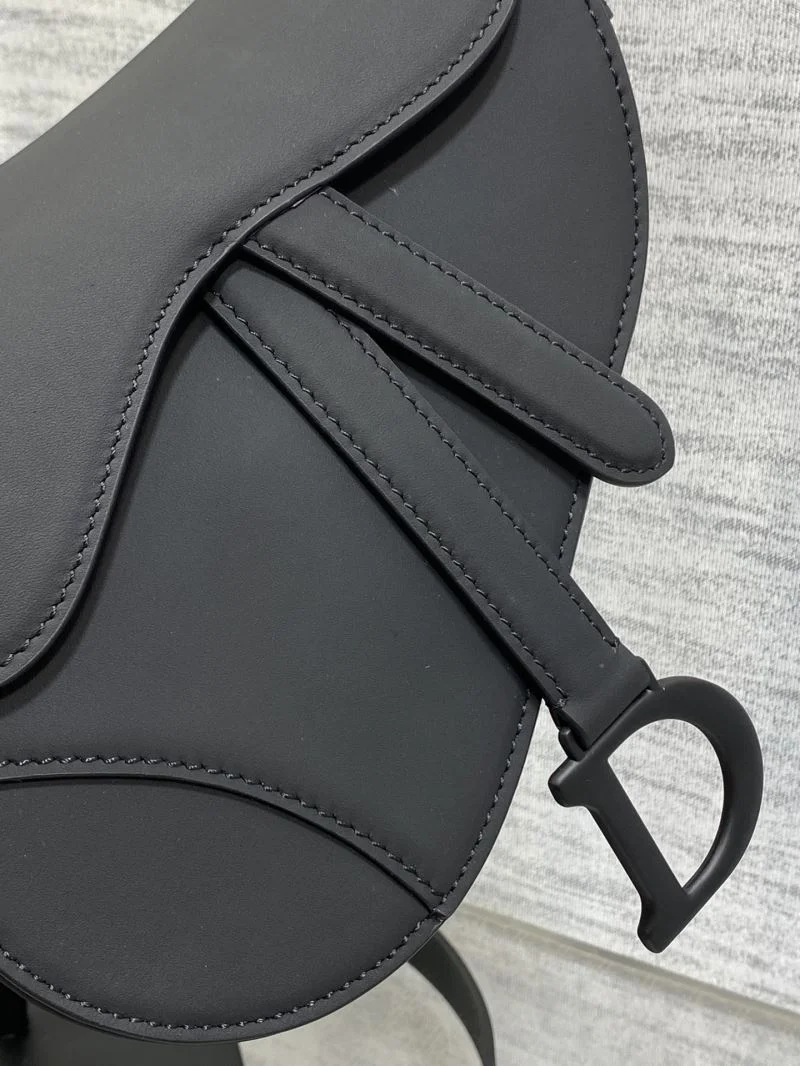Christian Dior Saddle bags WellDesigned 47244