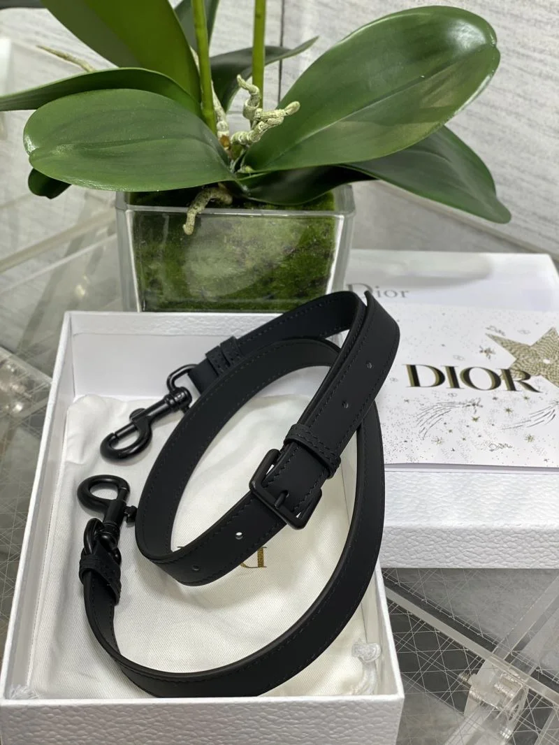 Contemporary Christian Dior Saddle bags 47238