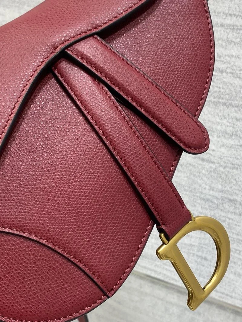 OdorResistant Christian Dior Saddle bags 47241