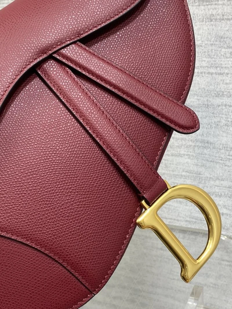 Christian Dior Saddle bags Breathable 47237