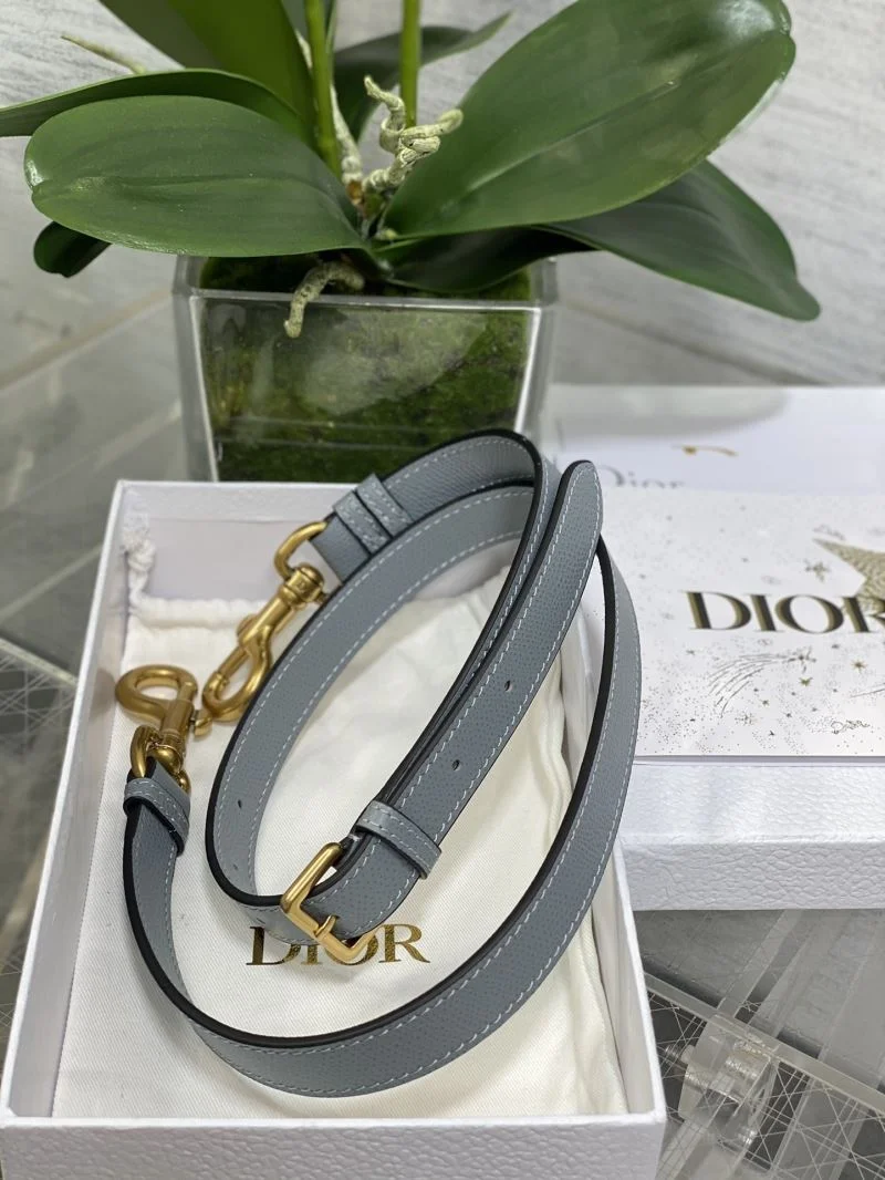 Minimalist Christian Dior Saddle bags 47273