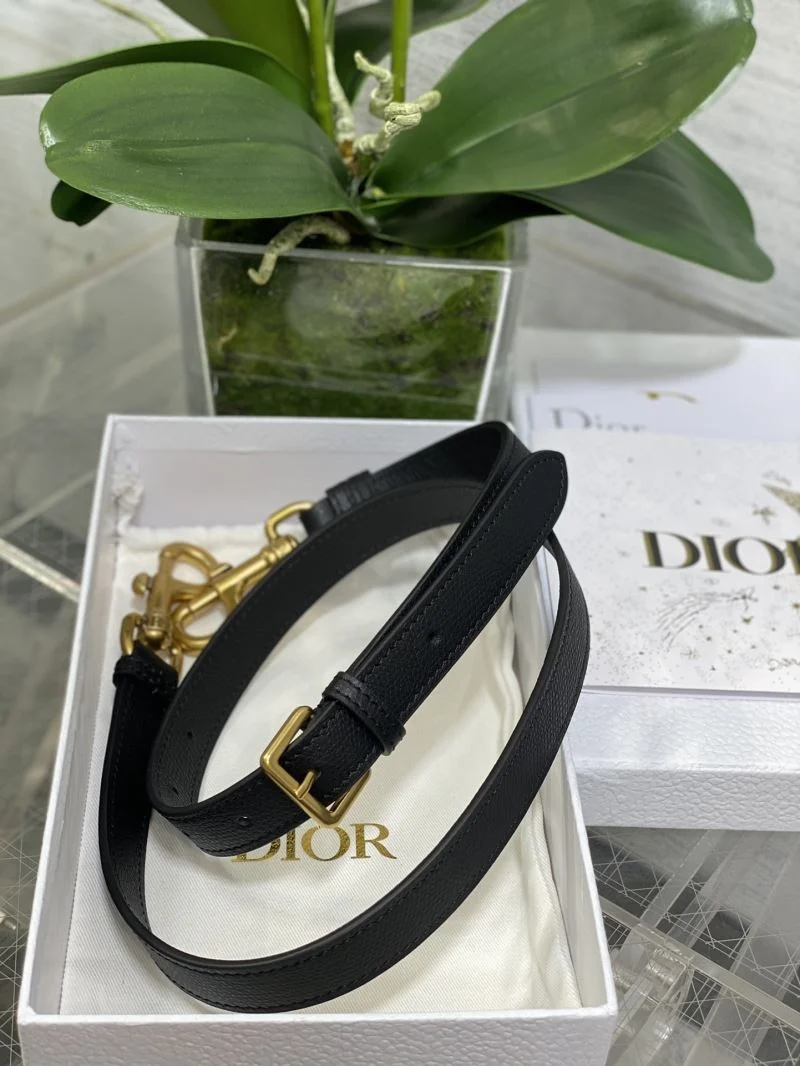 Christian Dior Saddle bags FlexibleFit 47259