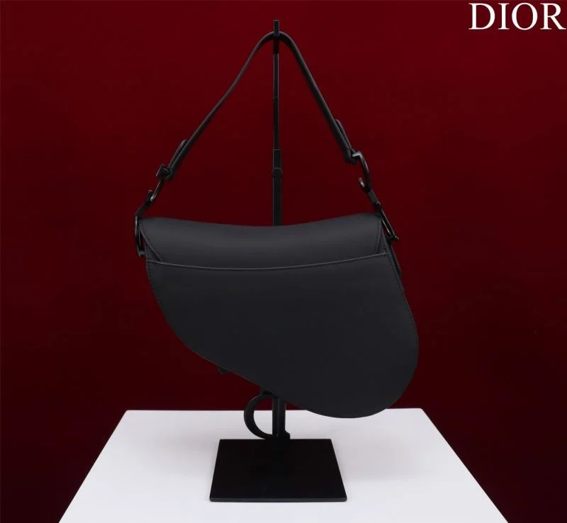 Christian Dior Saddle bags WeatherProof 47253