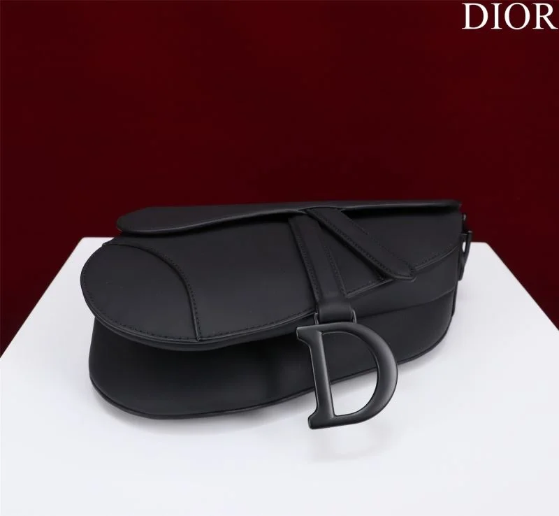 Christian Dior Saddle bags WeatherProof 47253