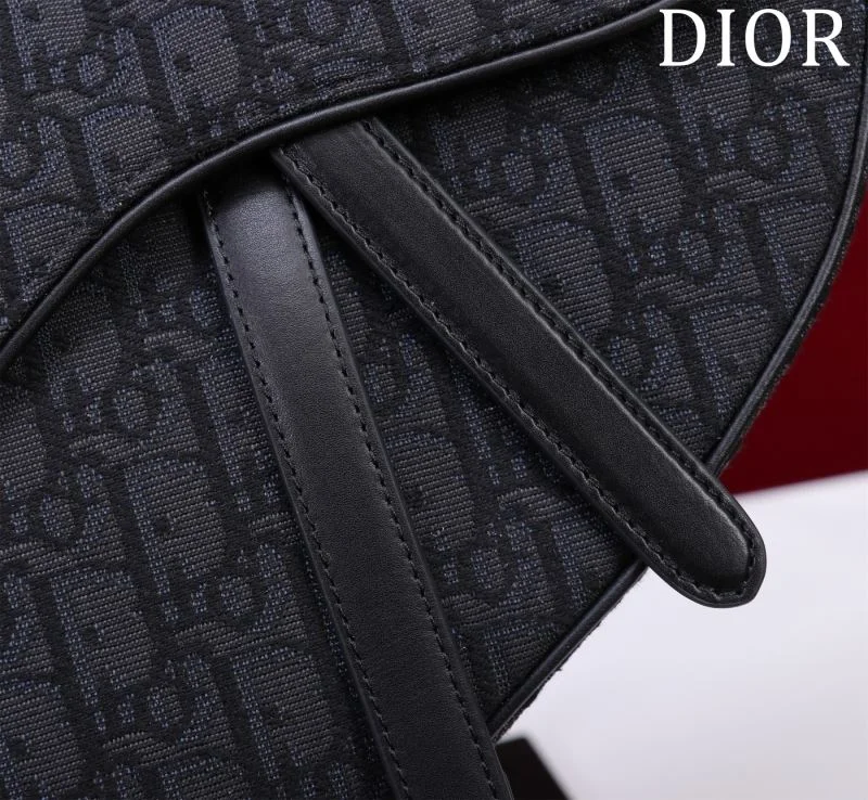 Christian Dior Saddle bags Comfortable 47251