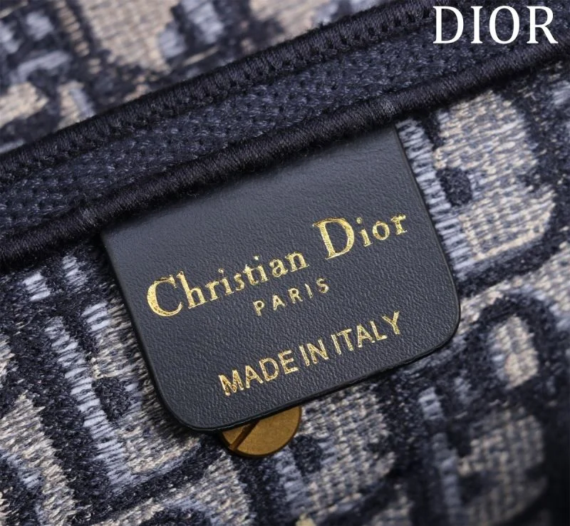 Christian Dior Saddle bags Unique 47223