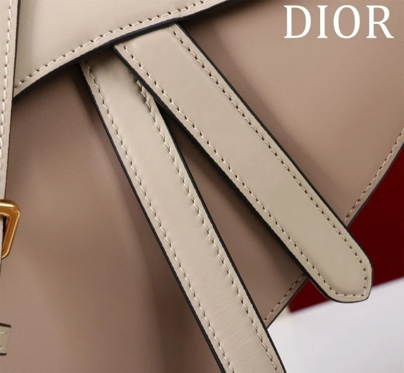Contemporary Christian Dior Saddle bags 47227