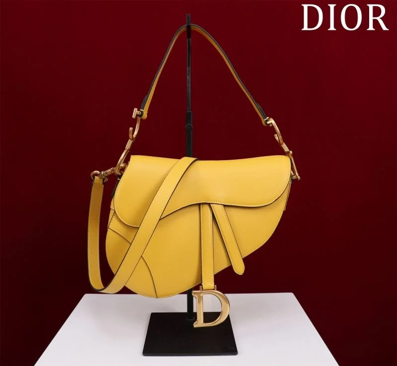 Christian Dior Saddle bags Effortless 47281
