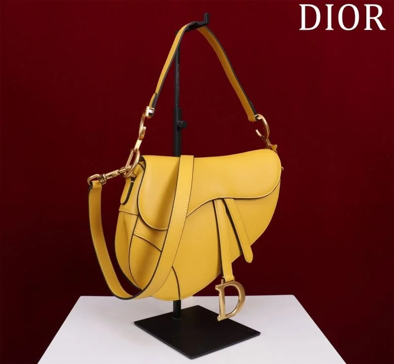 Christian Dior Saddle bags Effortless 47281