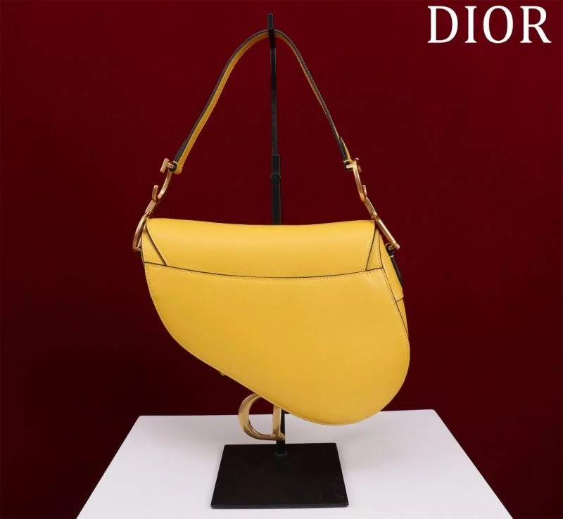 Christian Dior Saddle bags Effortless 47281