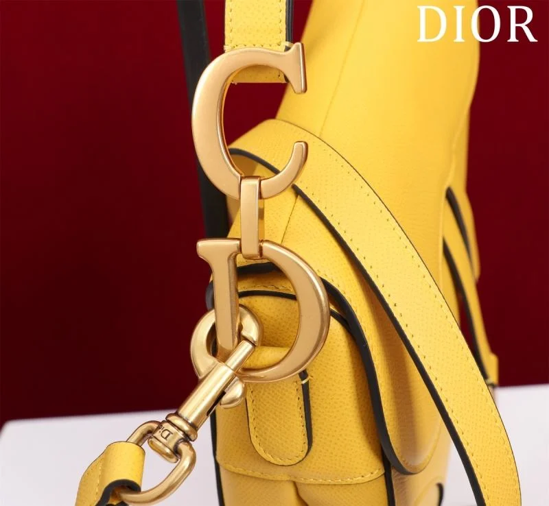 Christian Dior Saddle bags Effortless 47281