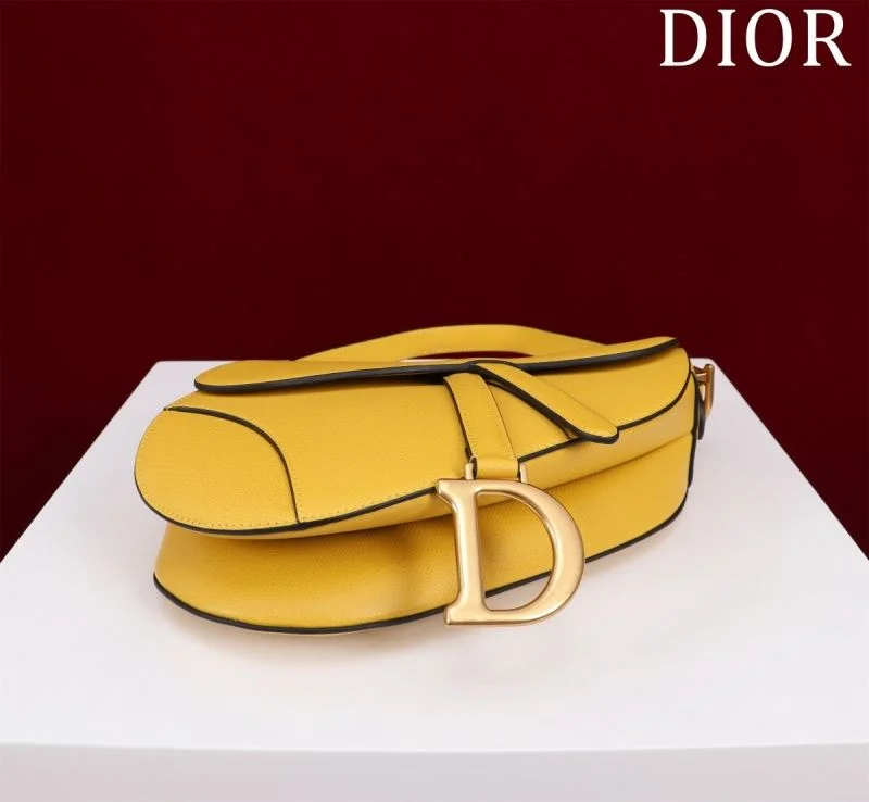 Christian Dior Saddle bags Effortless 47281