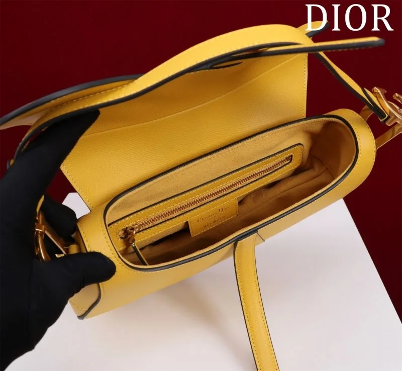 Christian Dior Saddle bags Effortless 47281