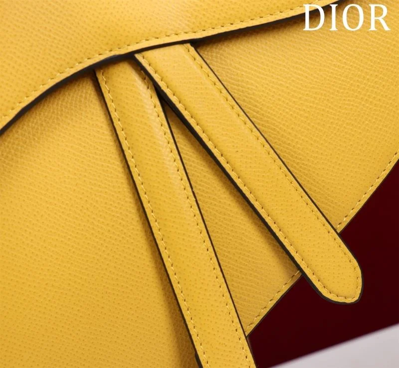 Christian Dior Saddle bags Effortless 47281