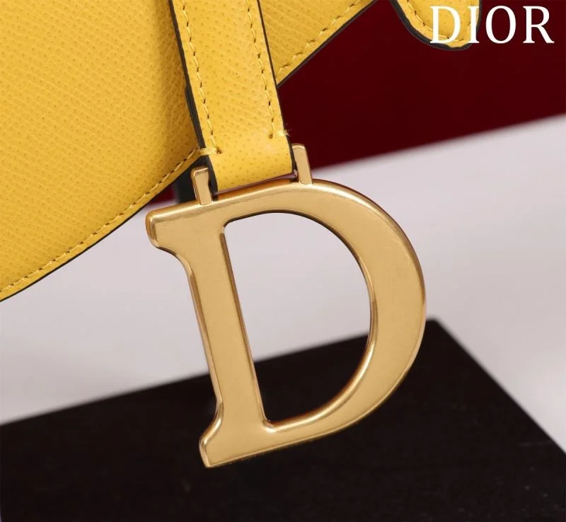 Christian Dior Saddle bags Effortless 47281