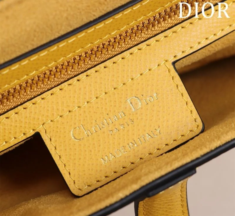 Christian Dior Saddle bags Effortless 47281