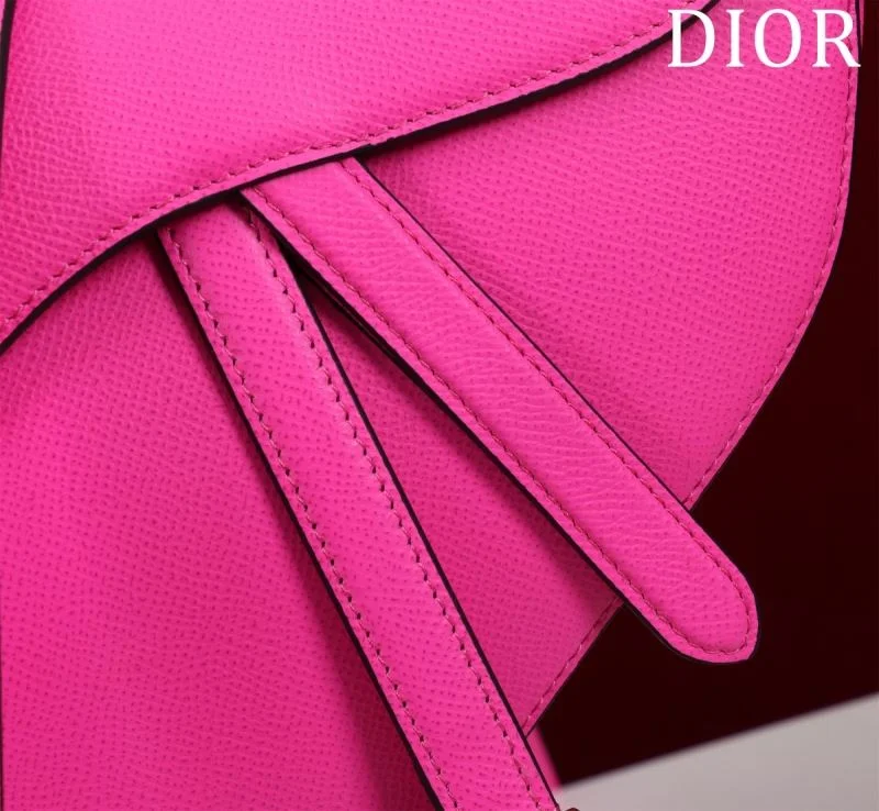 Christian Dior Saddle bags UrbanStyle 47221