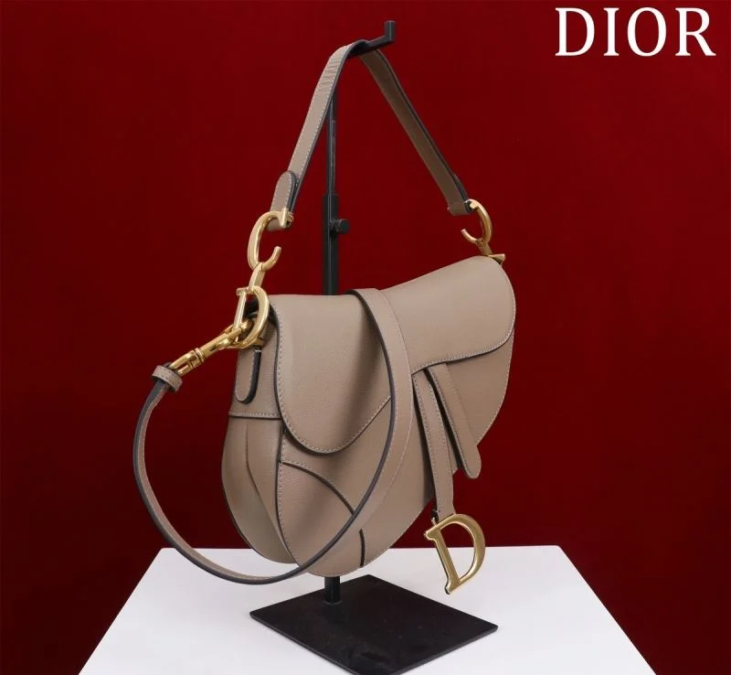 Christian Dior Saddle bags Lightweight 47214