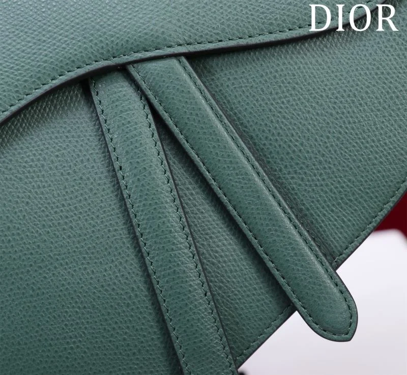 Christian Dior Saddle bags Popular 47224