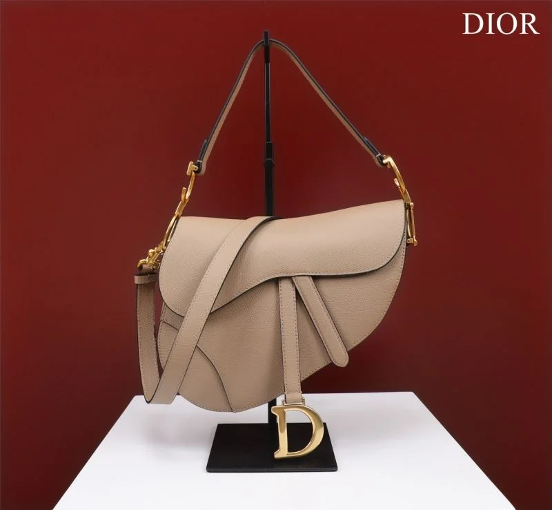 Christian Dior Saddle bags OdorResistant 47222