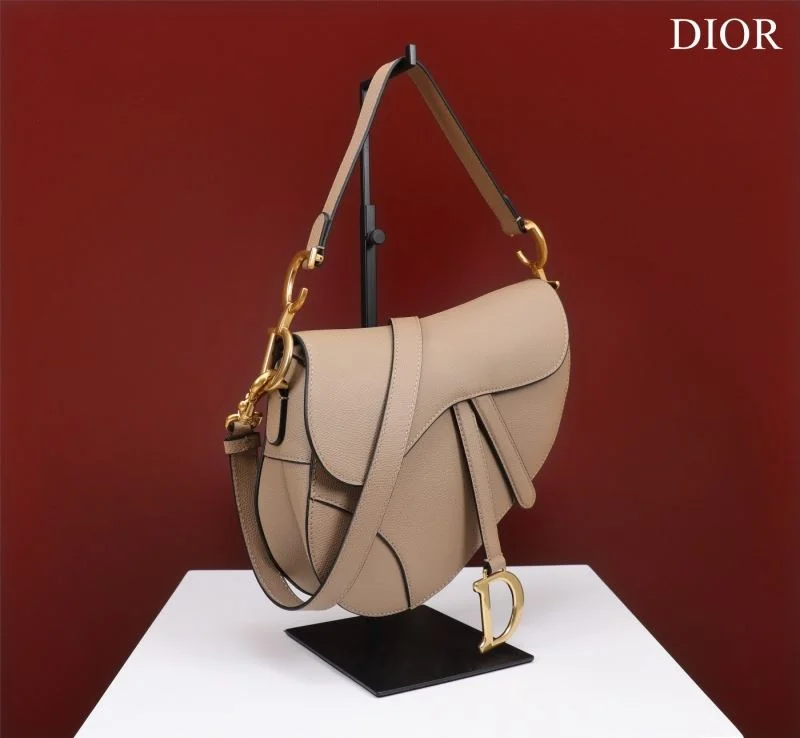 Christian Dior Saddle bags OdorResistant 47222