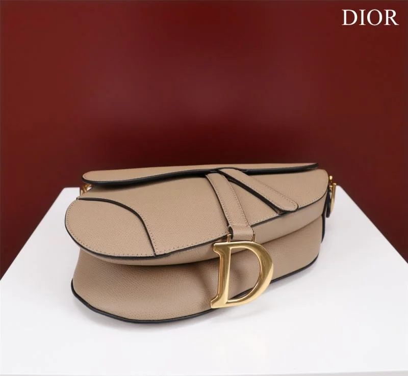 Christian Dior Saddle bags OdorResistant 47222