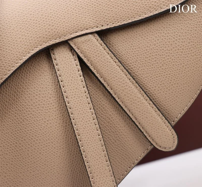 Christian Dior Saddle bags OdorResistant 47222