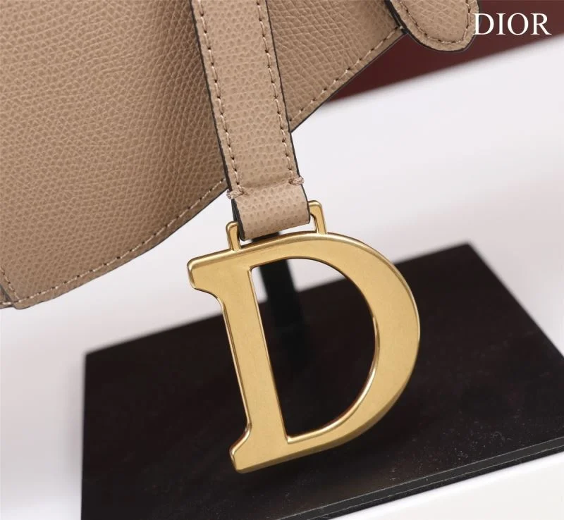 Christian Dior Saddle bags OdorResistant 47222