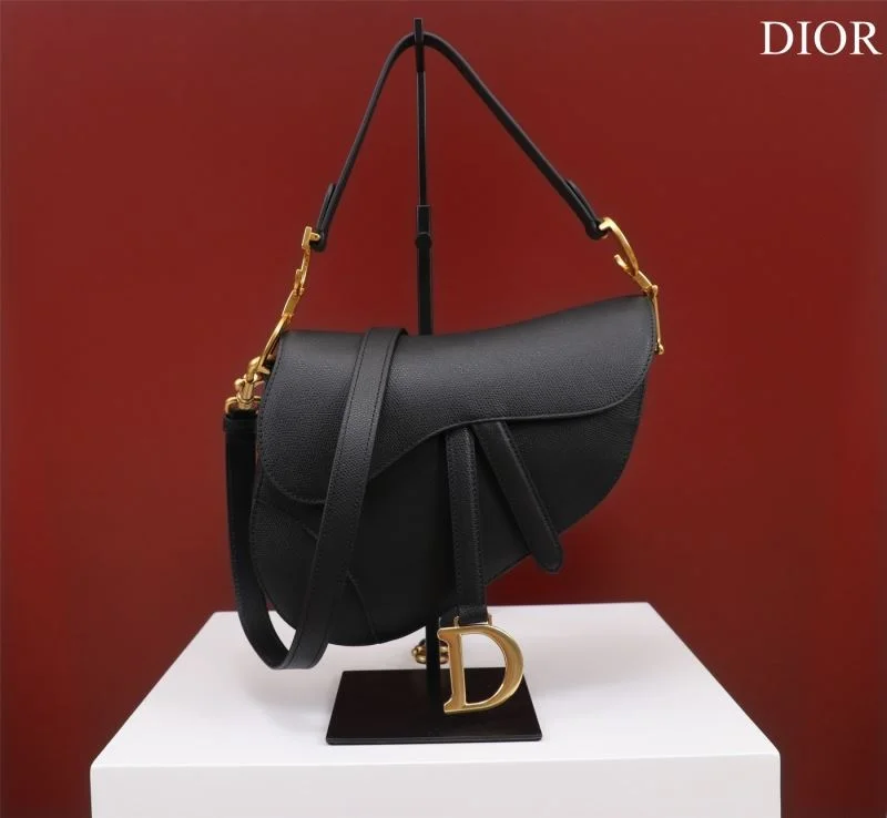 Christian Dior Saddle bags Minimalist 47210