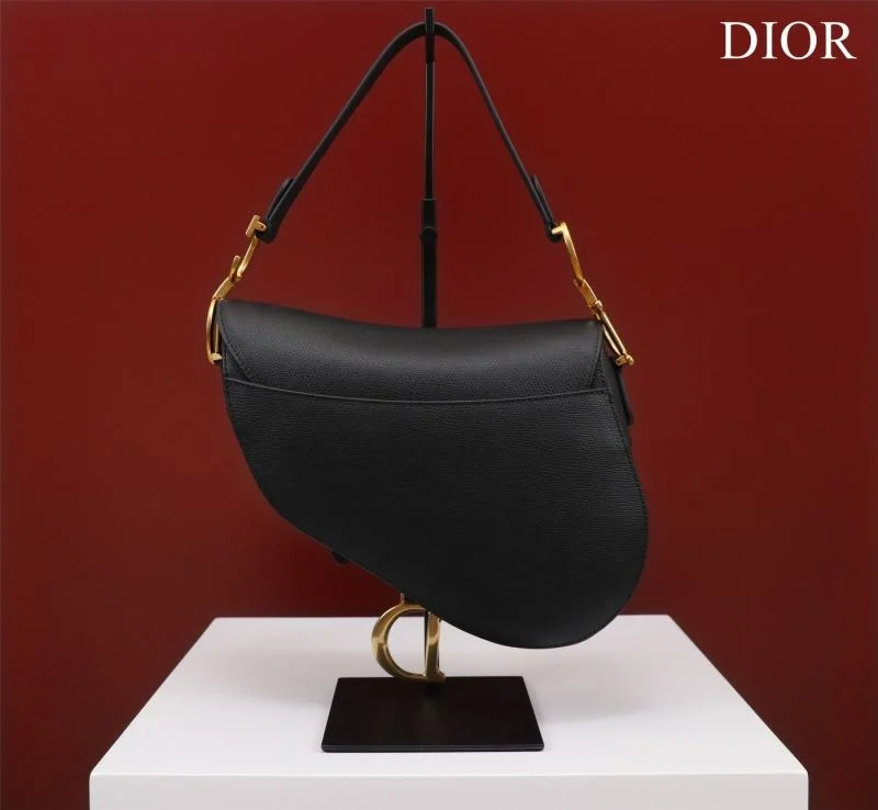 Christian Dior Saddle bags Minimalist 47210