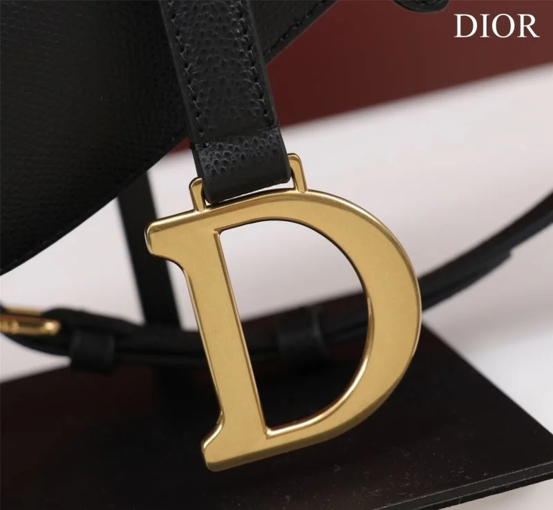 Christian Dior Saddle bags Minimalist 47210