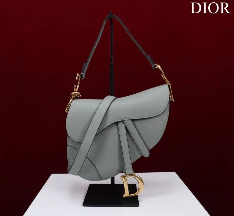 Christian Dior Saddle bags Versatile 47216
