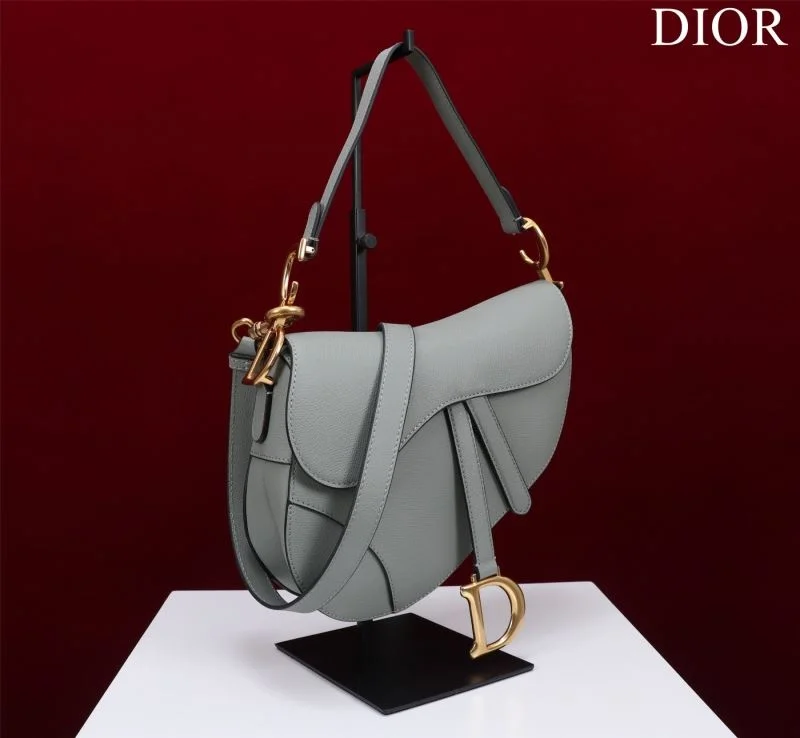 Christian Dior Saddle bags Versatile 47216