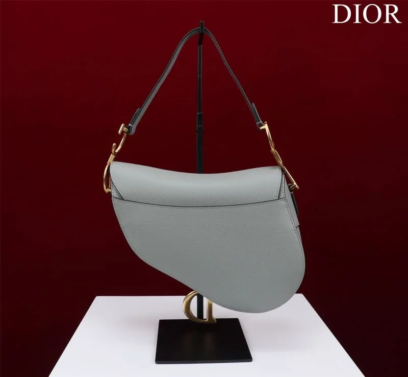 Christian Dior Saddle bags Versatile 47216