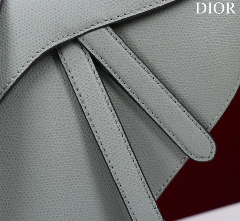 Christian Dior Saddle bags Versatile 47216