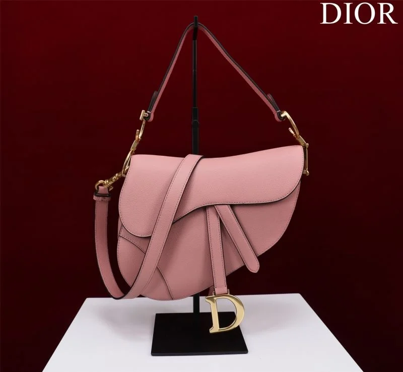 Christian Dior Saddle bags Attractive 47262