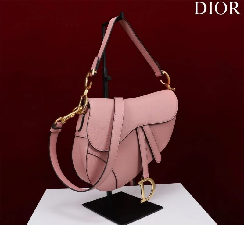 Christian Dior Saddle bags Attractive 47262
