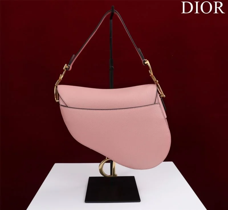 Christian Dior Saddle bags Attractive 47262