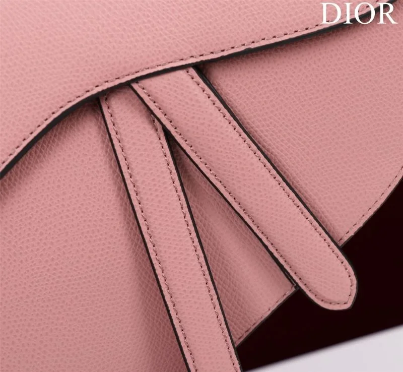 Christian Dior Saddle bags Attractive 47262