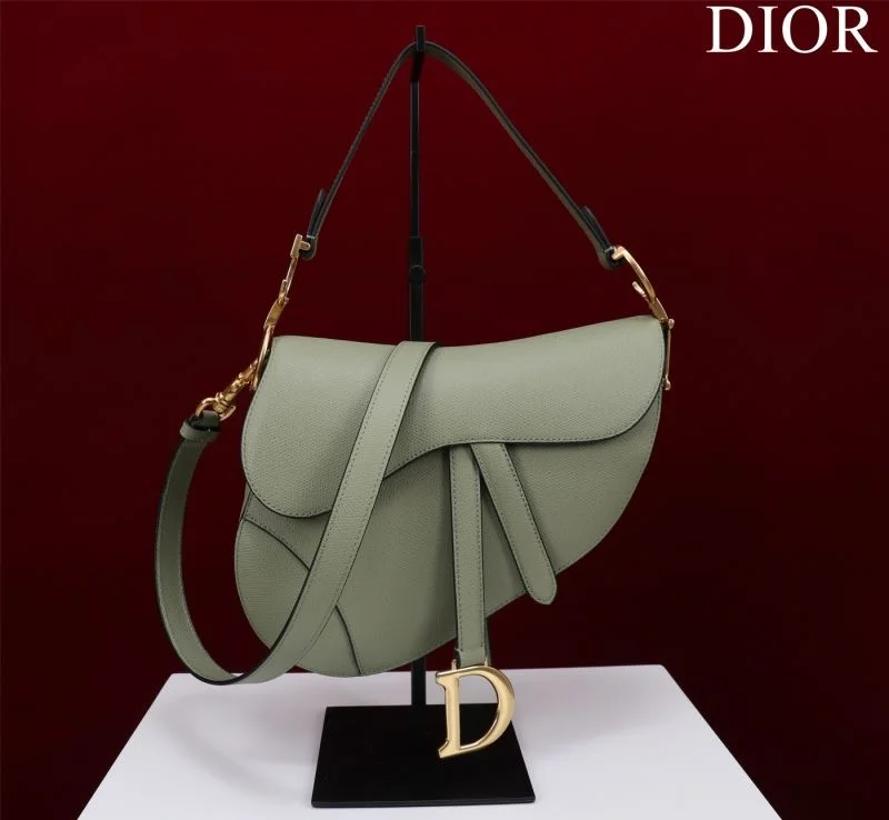 Christian Dior Saddle bags Minimalist 47206
