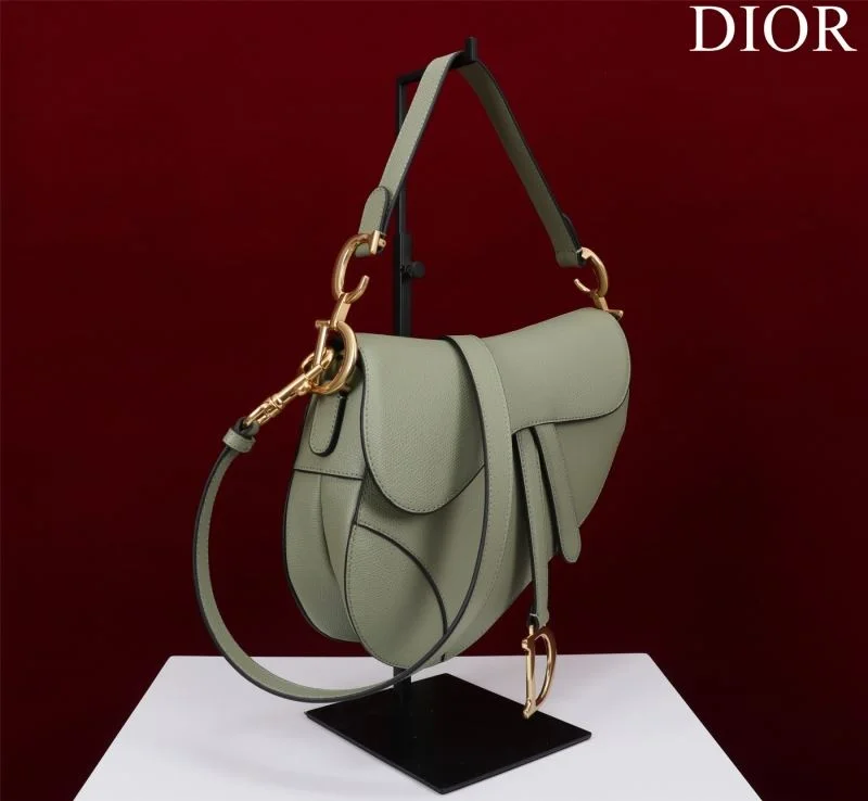 Christian Dior Saddle bags Minimalist 47206