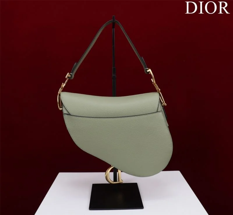 Christian Dior Saddle bags Minimalist 47206