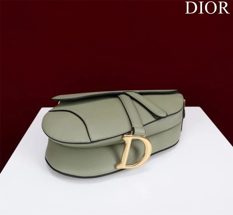 Christian Dior Saddle bags Minimalist 47206