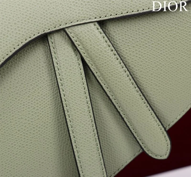 Christian Dior Saddle bags Minimalist 47206