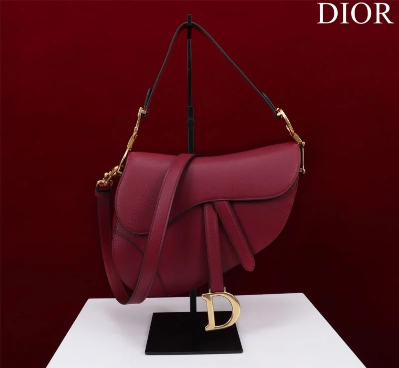 Christian Dior Saddle bags Functional 47208